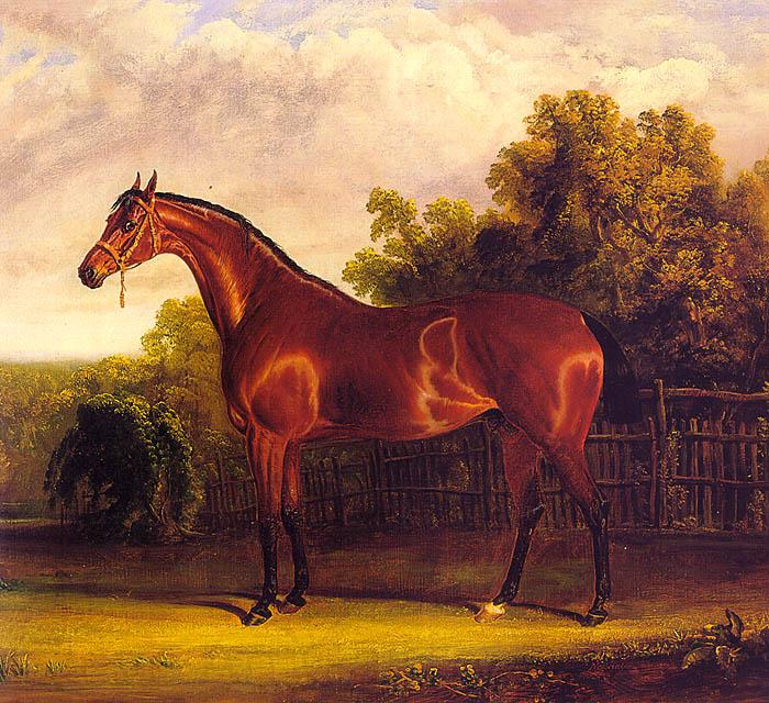 Herring, John F. Sr. Negotiator the Bay Horse in a Landscape Norge oil painting art
